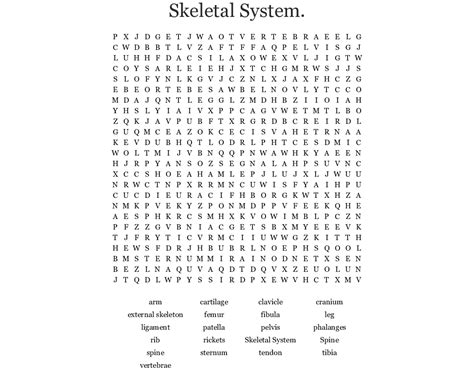 Skeletal System Word Search Wordmint Word Search Printable