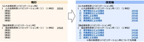 疾患別リハビリテーション料の実施者別区分の創設 令和6年 診療報酬改定情報 Pt Ot Stnet