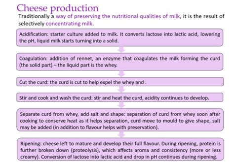 Milk And Dairy Production Flashcards Quizlet