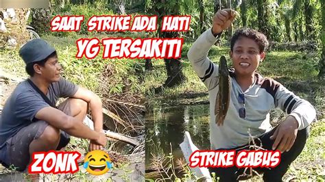 Strike Gabus Babon Tapi Kawan Zonk Youtube