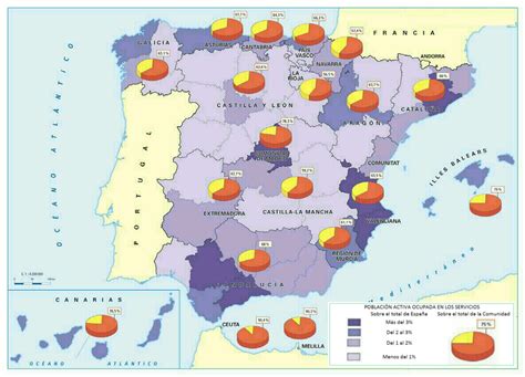 Distribuci N Del Sector Terciario En Espa A