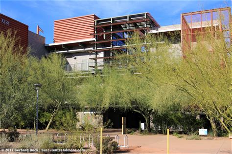 ASU Mesa, AZ: university campus that embraces the desert