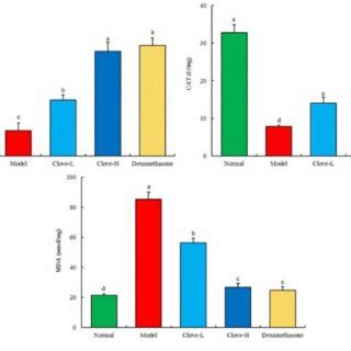 mRNA expression in mouse hippocampus. a-e: Indicates significant ... 