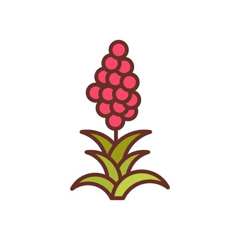 Quinoa Icon In Vector Illustration 24245291 Vector Art At Vecteezy