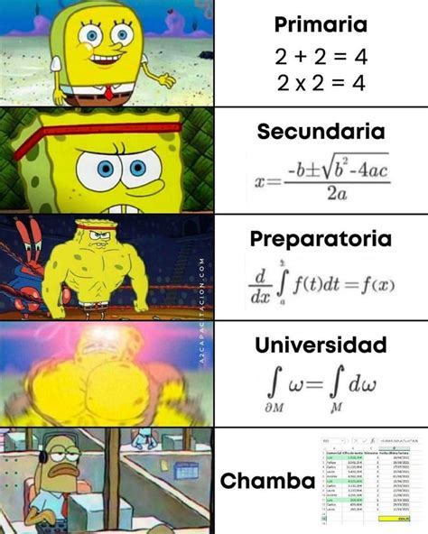 Enséñame de Ciencia EnsedeCiencia on X in 2024 Image memes Memes