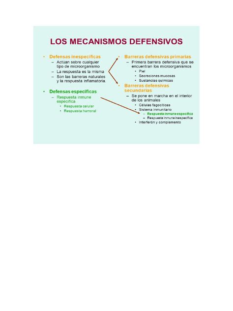 Defensas Del Organismo Pdf