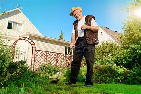 Clean Lawn Stock Image Image Of Joyful Gardener Healthy 79482785