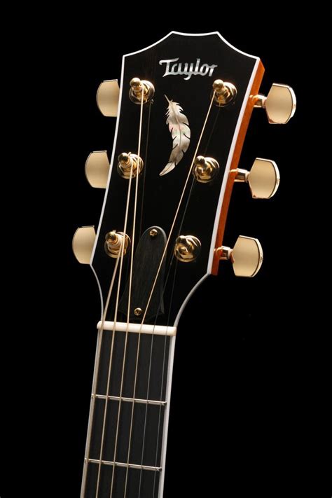 Feather Headstock Inlay | Taylor Guitars | Taylor guitars, Acoustic guitar, Guitar