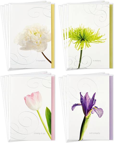 Hallmark Tarjetas De Condolencia Surtidas Flores Tarjetas Y