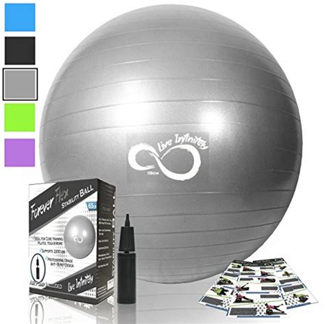 Exercise Ball -Professional Grade Exercise Equipment Anti Burst Tested with Hand Pump- Supports ...