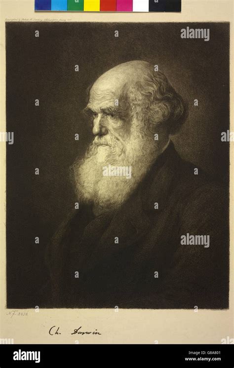 Charles Darwin Portrait Hi Res Stock Photography And Images Alamy