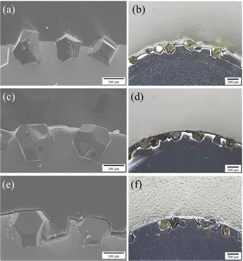 Cross Sections Of Electroplated Diamond Tools With 90 μm Download