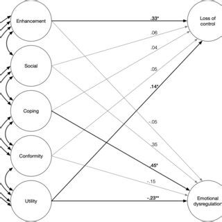 Path Coefficients In The Final Model All Values Are Standardized P