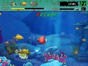 Игра Фото Рыбка — Bluemorphotours.ru