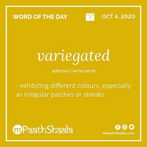 variegated interesting english words good vocabulary words english