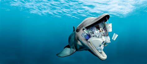 Wwf Plastic Pollution