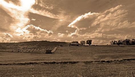 Rural Splendor In Grayscale And Sepia Tones By Marian Bell Grayscale