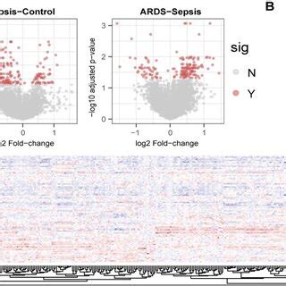 Differential Expressed Genes Analysis DEGs A Volcano Plots