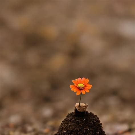 Premium AI Image An Orange Flower Sprouting From A Mound Of Earth