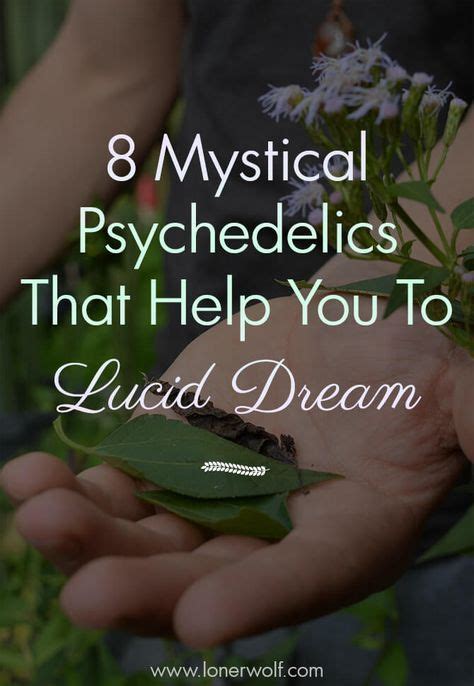 Mystical Herbs And Legal Psychedelics For Lucid Dreaming Legal