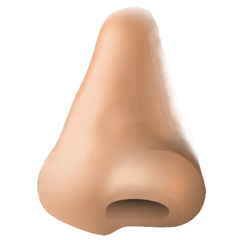 Human Nose Png