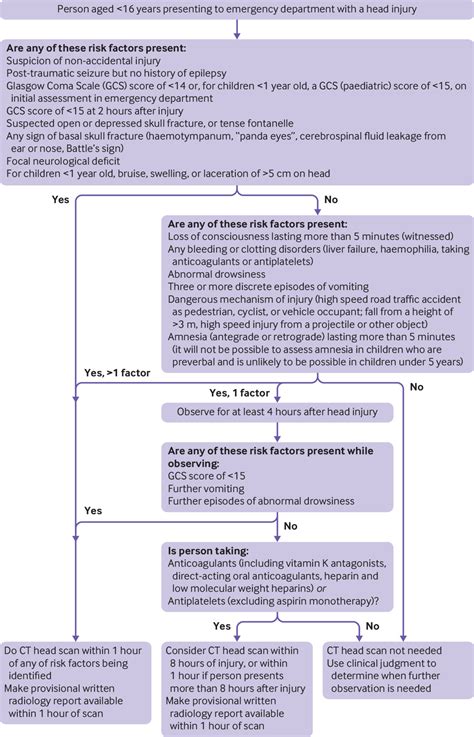 Head Injury Assessment And Early Management—summary Of Updated Nice