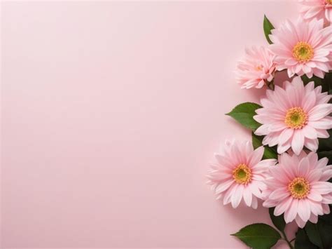 Premium Photo | Soft light pink flowers with top side blank space pink background