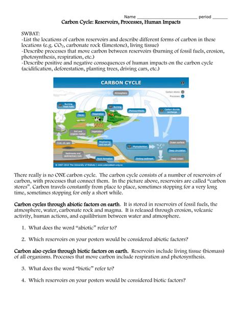 The Carbon Cycle Worksheet – E Street Light