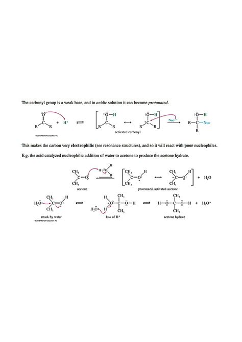 Solution Reactions Of Aldehyde And Ketones Studypool