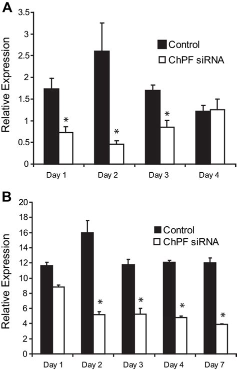 Sirna Reduces Chpf Mrna Levels In A Time Dependent Manner A Neu7 Download Scientific Diagram