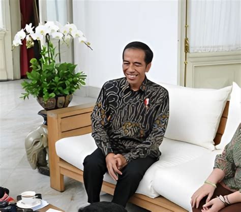 Jokowi Buka Suara Soal Rencana Bertemu Megawati