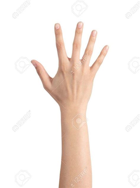 A Person S Hand Reaching Up Into The Air With Their Fingers On White