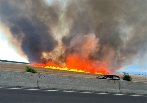 100 de hectare de grâu au fost salvate de la incendiul de la marginea