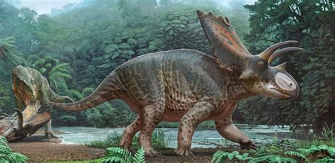 Découverte d une nouvelle espèce de dinosaure à cornes