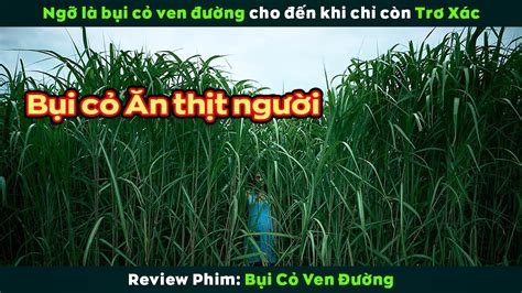 Review Phim B I C Xanh Ven Ng Khi N Ai C Ng Khi P V A In The