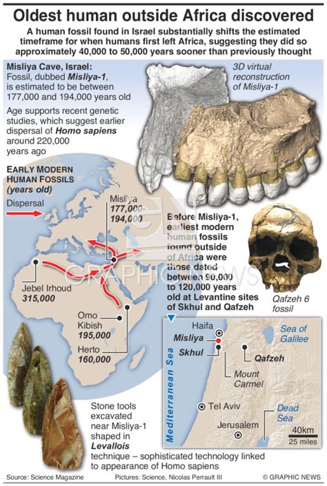 SCIENCE: Oldest human fossil outside Africa discovered infographic