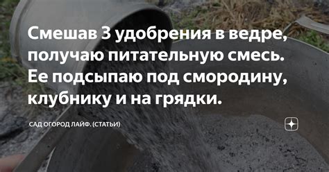 Смешав 3 удобрения в ведре, получаю питательную смесь. Ее подсыпаю под ...