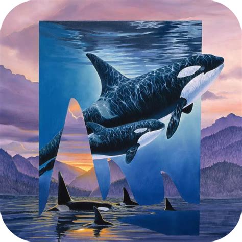 Orca Wallpaper - Apps on Google Play