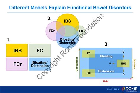 Bowel 002 Different Models Explain Functional Bowel Disorders Rome