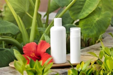 Botol Body Lotion Pilihan Kemasan Berkualitas Untuk Kulit