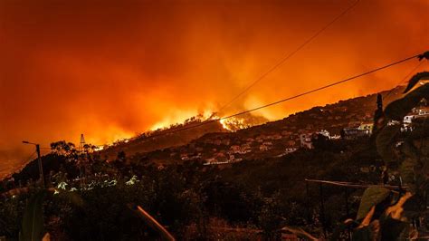 Sicilys Wildfires And Heatwave Crisis Tourist Evacuations And Palermo