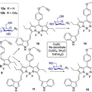 Representative Functionalized Bodipys Employed In The Formation Of