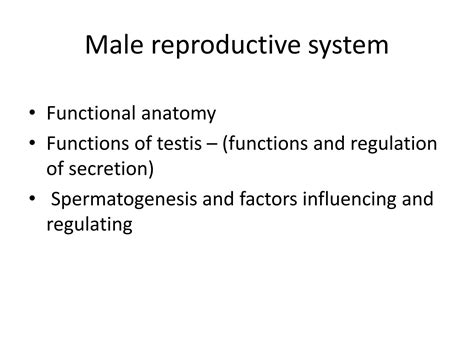 Solution Male Reproductive Physiology 1 Studypool