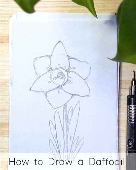 Sketches Of Flowers For Beginners