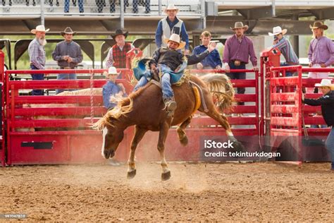 cowboys  wild horse riding competition  rodeo paddock arena
