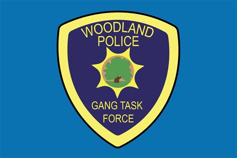 Gang task force organized by Woodland Police Department in response to recent surge in violence ...