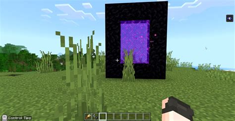 Glitched Nether Portal : r/Minecraft