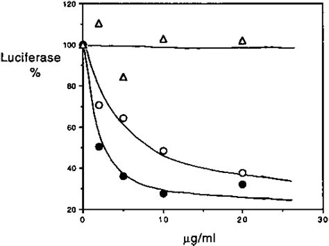 Effect Of α Amanitin On Accumulation Of Epitope Tagged Recombinant