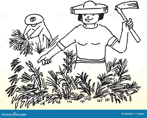 Farmer Harvesting Harvest Of Vegetables And Fruits Cartoon Vector