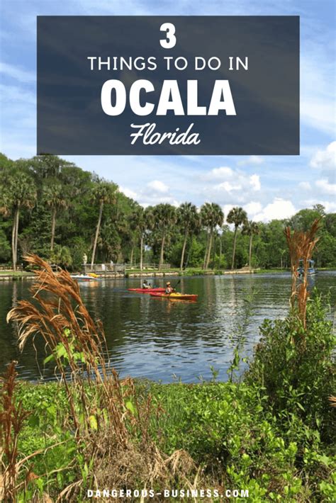 4 Unique Things To Do In Ocala Florida